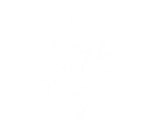 Fireball Logo white.png